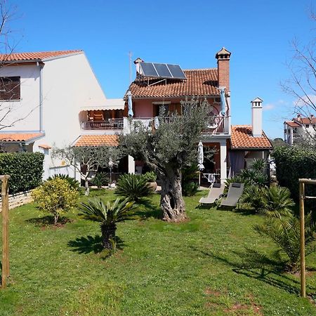 Apartments Palm View Rovigno Esterno foto